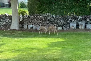 5105 W Old Oak Ln N, Highland, UT 84003 - Photo 72