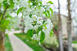 1095 E Mariwood Circle, North Salt Lake, UT 84054 - Photo 56