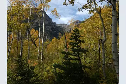 7347 Jim Bridger Dr #H47, Huntsville, UT 84317 - Photo 2