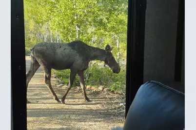 7347 Jim Bridger Dr #H47, Huntsville, UT 84317 - Photo 6