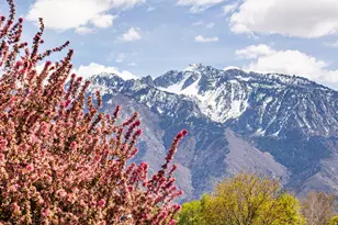 10251 S 535 E, Sandy, UT 84070 - Photo 34