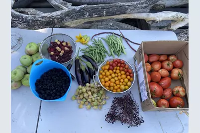 339 E 1900 St N, North Ogden, UT 84414 - Photo 42