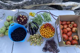 339 E 1900 St N, North Ogden, UT 84414 - Photo 42