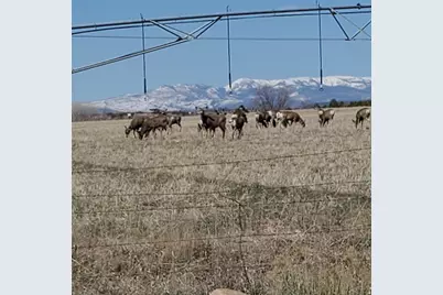 [Address not provided], Duchesne, UT 84021 - Photo 8