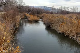 1359 W Stewart Dr, Riverton, UT 84065 - Photo 24