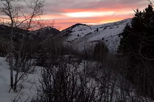 11829 Falcon Point, Huntsville, UT 84317 - Photo 22