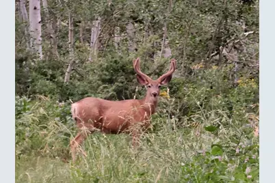 7434 N Rendezvous Rd #H250, Huntsville, UT 84317 - Photo 8