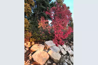 23465 N Thads Peak E #J27, Fairview, UT 84629 - Photo 20