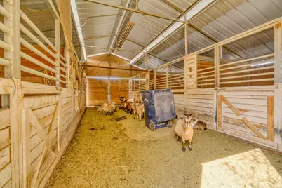 1467 E Pimlico Pl, Sandy, UT 84092 - Photo 46