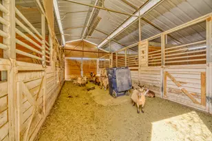 1467 E Pimlico Pl, Sandy, UT 84092 - Photo 46