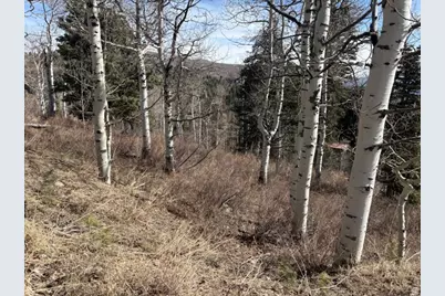 2185 S Uintah View Dr #46, Wanship, UT 84017 - Photo 4