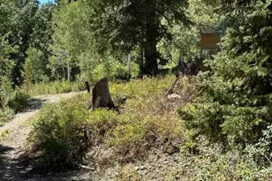 1456 W Navajo Rd, Wanship, UT 84017 - Photo 54