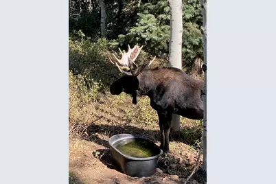 1456 W Navajo Rd, Wanship, UT 84017 - Photo 4