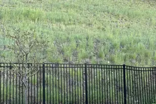 1909 E Longbranch Dr, Draper, UT 84020 - Photo 30