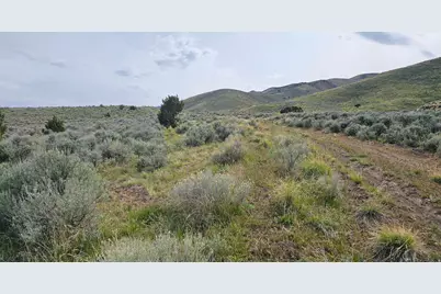 25 Stansbury Agricultural Propert #25, Grantsville, UT 84029 - Photo 6