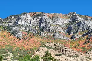 1489 E 1500 N, Provo, UT 84604 - Photo 56