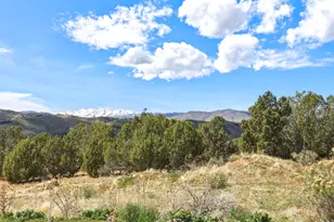 19692 S Wild Hawk Cir E, Birdseye, UT 84629 - Photo 10