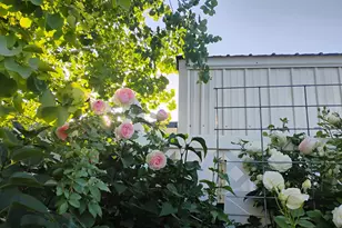 665 S 1040 E, Spanish Fork, UT 84660 - Photo 28