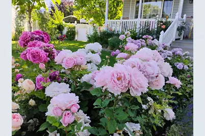 665 S 1040 E, Spanish Fork, UT 84660 - Photo 34