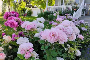 665 S 1040 E, Spanish Fork, UT 84660 - Photo 34