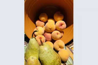 140 N 200 E, Glenwood, UT 84730 - Photo 54