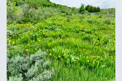 839 S Boosway Cir #61, Garden City, UT 84028 - Photo 1