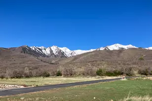 259 S Meadow Dr, Springville, UT 84663 - Photo 6