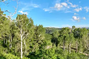 53 N Deer Valley Dr, Fairview, UT 84629 - Photo 6