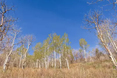 10135 N Kimball Canyon Rd #12, Park City, UT 84098 - Photo 4