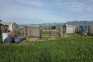 990 N 800 W, Lewiston, UT 84320 - Photo 44