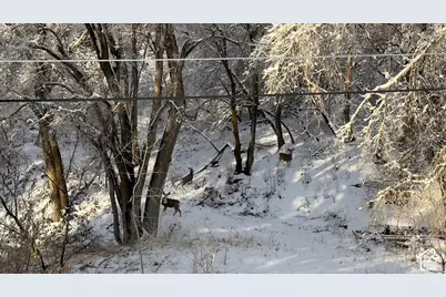 2340 E 5950 S, Ogden, UT 84403 - Photo 58