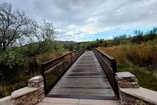 1229 W Peacock Midge Dr S, Bluffdale, UT 84065 - Photo 54