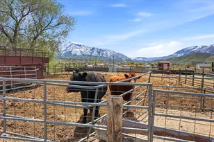 793 W Salem Canal Rd Rd S, Salem, UT 84653 - Photo 10