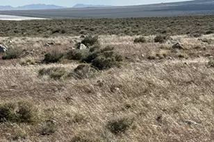 [Address not provided], Grouse Creek, UT 84313 - Photo 14