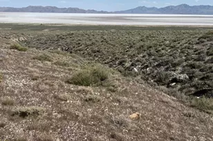 [Address not provided], Grouse Creek, UT 84313 - Photo 10