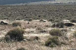 [Address not provided], Grouse Creek, UT 84313 - Photo 16