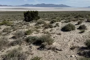 [Address not provided], Grouse Creek, UT 84313 - Photo 8