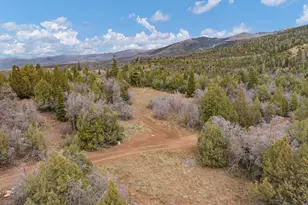 116 N Oak Crest Dr E, Mount Pleasant, UT 84647 - Photo 50
