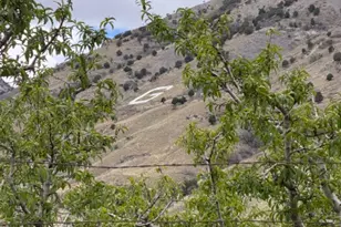 24 S 1400 E, Pleasant Grove, UT 84062 - Photo 14