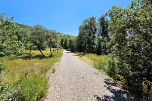 31 Juniper Dr, Fairview, UT 84629 - Photo 44