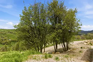 916 N Bonneville Rd, Preston, ID 83263 - Photo 32
