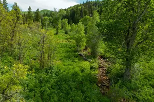 120 S Pne Dr, Huntsville, UT 84317 - Photo 44