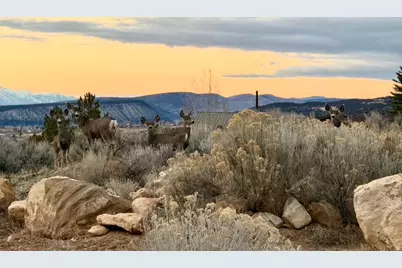 22498 N 12320 E #B58, Fairview, UT 84629 - Photo 22