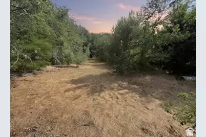 1648 E 4150 S, Salt Lake City, UT 84124 - Photo 2