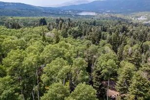 11152 E Green Briar Rd, Heber City, UT 84032 - Photo 44