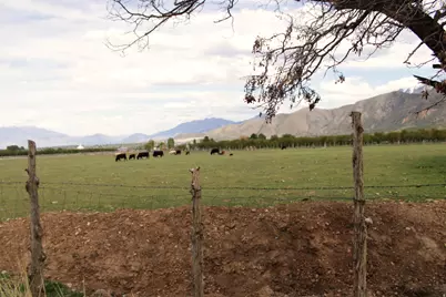 [Address not provided], Santaquin, UT 84655 - Photo 4