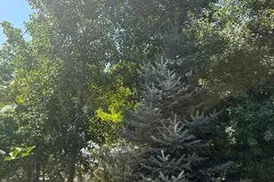 150 W 200 St N, Duchesne, UT 84021 - Photo 44
