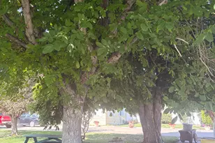 150 W 200 St N, Duchesne, UT 84021 - Photo 20