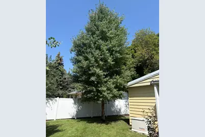 150 W 200 St N, Duchesne, UT 84021 - Photo 46