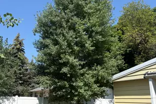 150 W 200 St N, Duchesne, UT 84021 - Photo 46